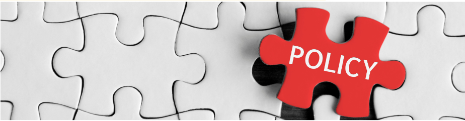 Image of a red puzzle piece reading policy among white puzzle pieces